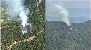 İzmir'in Kemalpaşa ilçesindeki orman yangını kontrol altına alındı