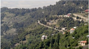 Aydın'da ormanlık alanlara girişler 31 Ekim'e kadar yasaklandı