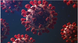 Enfeksiyon uzmanı Dr. Savaşçı: Maymun çiçeği, pandemi boyutuna ulaşmayacak