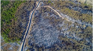OGM talimat verdi: 'Yangınla mücadele' kapsamında milyonlarca ağaç kesilecek