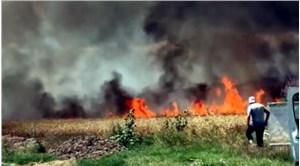Tekirdağ'da buğday ekili 25 dönüm alan yandı