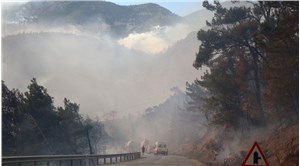Bakan Kirişci: Datça'daki orman yangını kontrol altına alındı