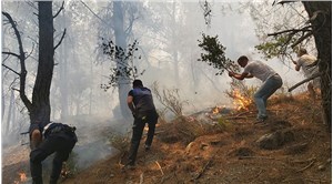 Ege ormanları yangına teslim