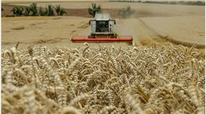 TÜİK, tarım verilerini açıkladı: Yıllık yüzde 148 artış