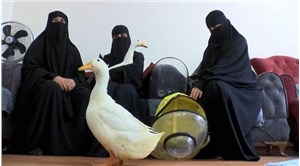 Başakşehir'de göletteki ördekleri çaldığı iddia edilen kadın konuştu