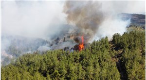 Manisa'daki orman yangınına ilişkin 2 kişi gözaltına alındı