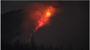 Akhisar'da orman yangını