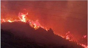 Aydın'da orman yangını: Söndürme çalışmaları sürüyor