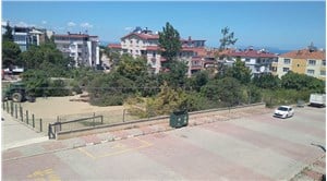 Sinop Gerze’de okul bahçesindeki 20-25 yıllık çam ağaçları ek bina gerekçesiyle kesildi!