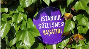 Türkiye'yi ziyaret eden BM raportöründen 'İstanbul Sözleşmesi' mesajı