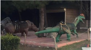 Çukurova Belediye Başkanı'ndan Melih Gökçek'e 'Dinozor Park' yanıtı