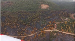 Soma'daki orman yangını kontrol altına alındı