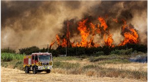 İspanya'da yılbaşından bu yana 220 bin hektardan fazla ormanlık alan yandı