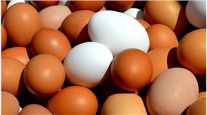 Tavuk yumurtası üretiminde 'fiyat artışı' sebebiyle azalma