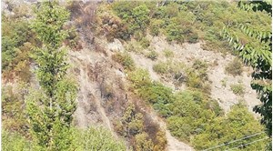 Kocaeli'de orman yangını: 1 gözaltı