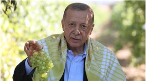 Erdoğan, kuru üzüm alım fiyatını açıkladı