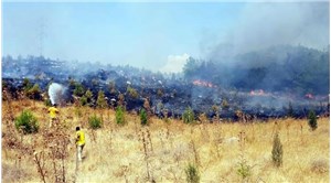 Manisa'da orman yangını: 5 dönüm alan zarar gördü