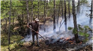 Eskişehir'de, yıldırım isabet eden ormanda 5 dekarlık alan yandı