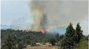 Refahiye’de ormanlık alanda yangın