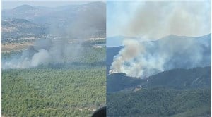 İzmir ve Manisa'da orman yangını