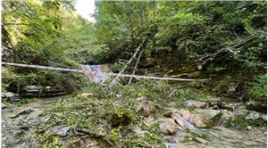 Sinop'ta, üzerine ağaç devrilen 2 kişi hayatını kaybetti