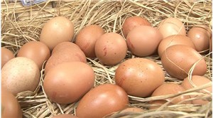 Yumurta fiyatlarında büyük artış: Son 1 ayda ikiye katlandı