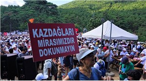 Kazdağları'nda yine doğa katliamı: "Cengiz Holding 155 bin ağaç kesecek"