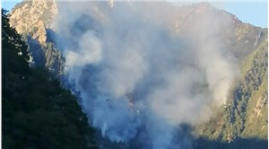 Osmaniye'de orman yangını: Havadan müdahaleye ara verildi