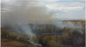 Bursa'da ağaçlık alanda yangın