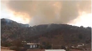 İzmir'in 2 ilçesinde ormanlık alanlarda çıkan yangın kontrol altına alındı