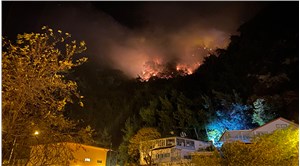 Bartın’da orman yangını: 4 kişi gözaltına alındı