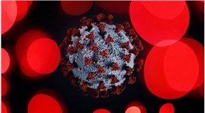 Hayvanlardan insanlara bulaşabilen yeni bir virüs tespit edildi: Yeni bir pandemi uyarısı