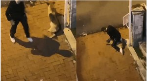 Sarıyer'de bir kişi sokak köpeğini boğmaya çalıştı!