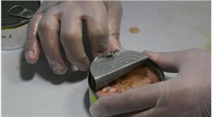 33 konserve balık markası incelendi, tümünün içinden mikroplastik çıktı