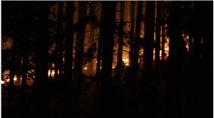 Kazdağları'nda yangın: Müdahale ediliyor