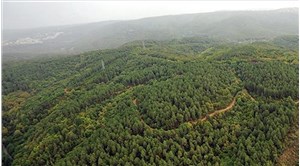 Bodrum'da bazı alanlar orman sınırları dışına çıkartıldı