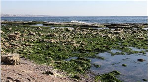 Kandilli Rasathanesi: Marmara Denizi'nde suyun çekilmesi deprem kaynaklı değil