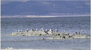 Salda’nın ardından hedef Burdur Gölü
