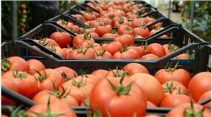 Antalya'da domates üreticileri yol kapatmıştı: Domates ihracatını kısıtlama kararı kaldırıldı