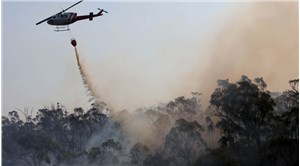 Avustralyadaki yangınlarda 2 bin hektardan fazla ormanlık alan yandı