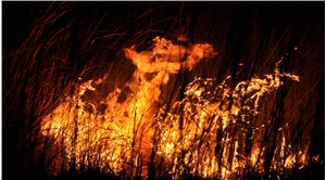 Mersin'deki Göksu Deltası'nda yangın: Arazi şartları nedeniyle yangına müdahale edilemiyor