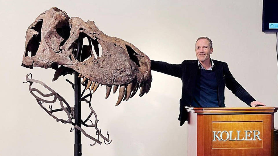Bir dinozor iskeleti daha zenginlerin hevesine kurban gitti