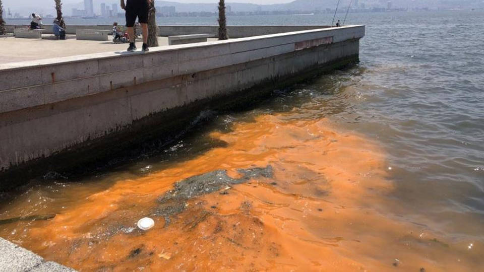 İzmir Körfezi'nde 'kırmızı- turuncu renk' uyarısı: Müsilaj belirtisi