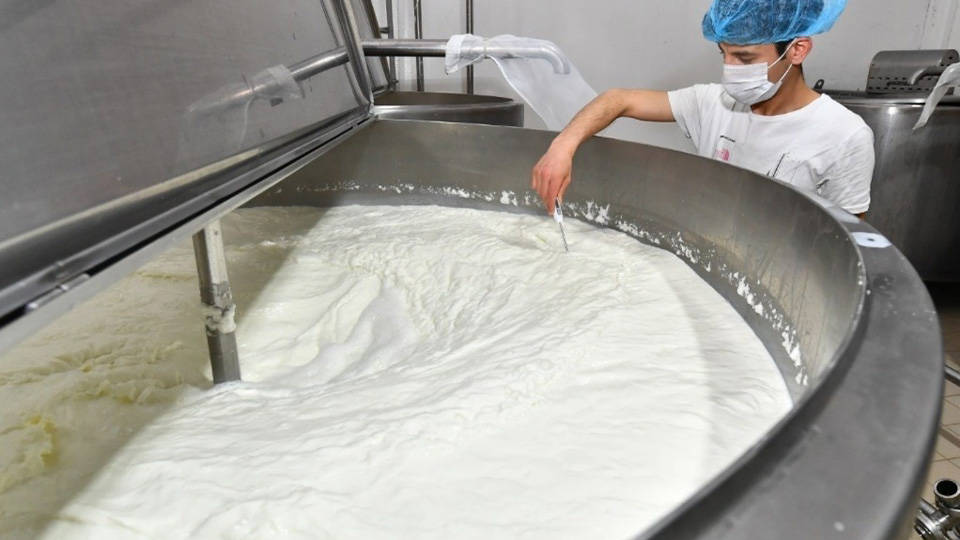 Ulusal Süt Konseyi toplantısı bitti, çiğ süt taban fiyatı açıklanmadı