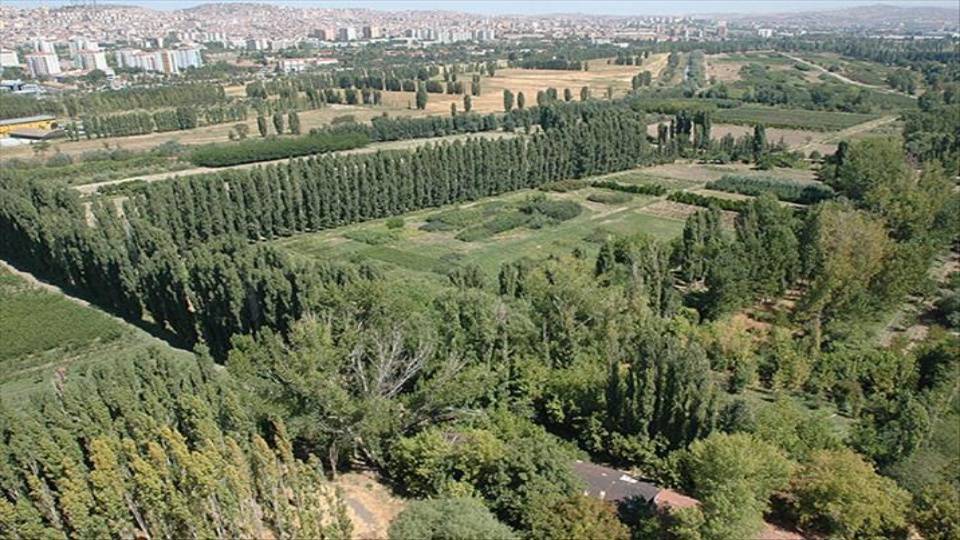 Mahkemeden Atatürk Orman Çiftliği kararı: Plan değişikliği iptal edildi