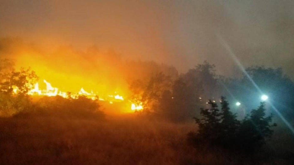 Diyarbakır'ın Lice ilçesinde ormanlık alanda yangın