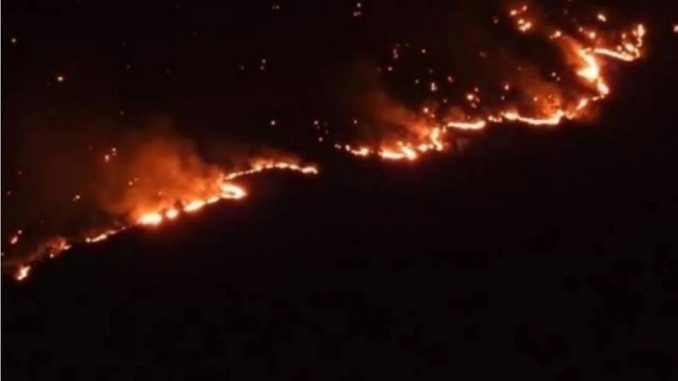 HDP: Cudi'deki orman yangınına müdahaleye izin verilmiyor
