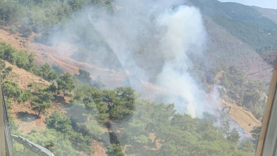 Balıkesir Burhaniye'deki orman yangını kontrol altına alındı
