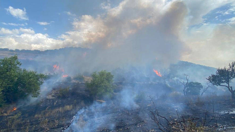 Balıkesir'in Altıeylül ilçesindeki orman yangını kontrol altına alındı