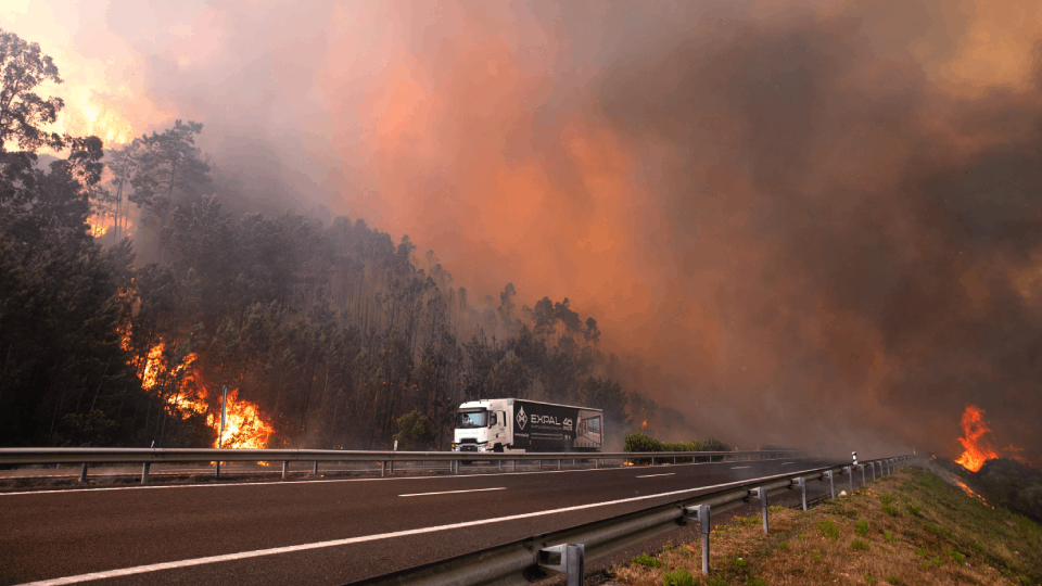 Portekiz’de orman yangınları yayılıyor: Binlerce hektarlık alan kül oldu